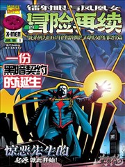第九次日落剧集封面